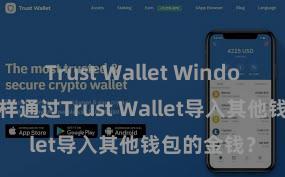 Trust Wallet Windows下载 怎样通过Trust Wallet导入其他钱包的金钱？