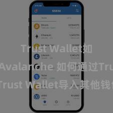 Trust Wallet如何使用Avalanche 如何通过Trust Wallet导入其他钱包的钞票？