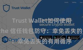 Trust Wallet如何使用Avalanche 信任钱包防守：幸免丢失的有用循序